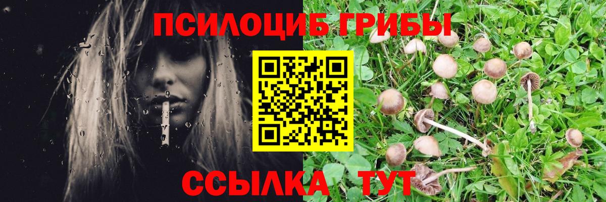 Псилоцибиновые грибы ЛСД Сланцы